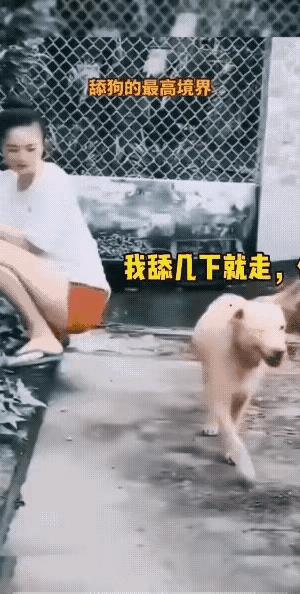 狗狗看到美女穿着短裤蹲在地上，露出雪白粉嫩的大腿，狗狗馋涎欲滴，走过去在女子大腿