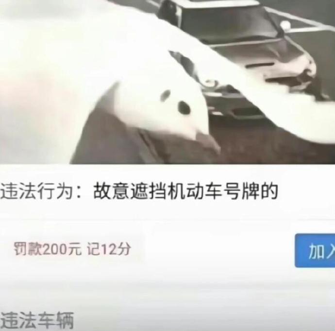 当鸽子不再象征和平[开怀大笑][开怀大笑][开怀大笑][开怀大笑]