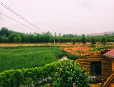 生活中就有这么一种心眼多的人，特别会套话。之前在职场茶水间，有个同事就总爱这么干