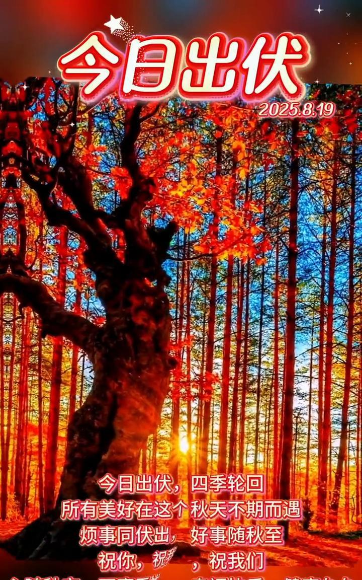 今日出伏，四季轮回。所有美好在这个秋天不期而遇，烦事同伏出，好事随秋至。祝你，祝