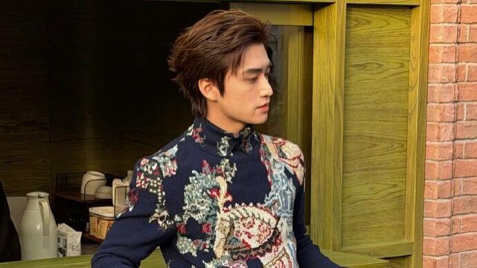 浓颜裹英印，刚俊揉柔纹；东颜西纹不违和，骨相托纹才是核