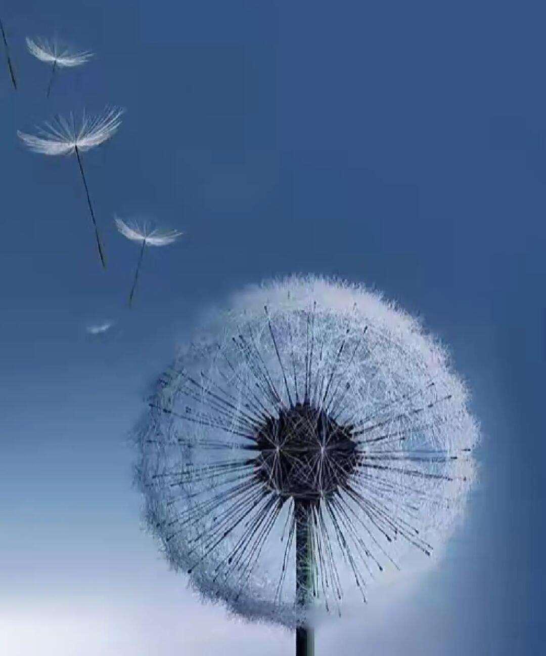 莫言说：
“我以前喝酒，一劝就干，不劝也干，一直干到丑态百出！
退休后才发现，什