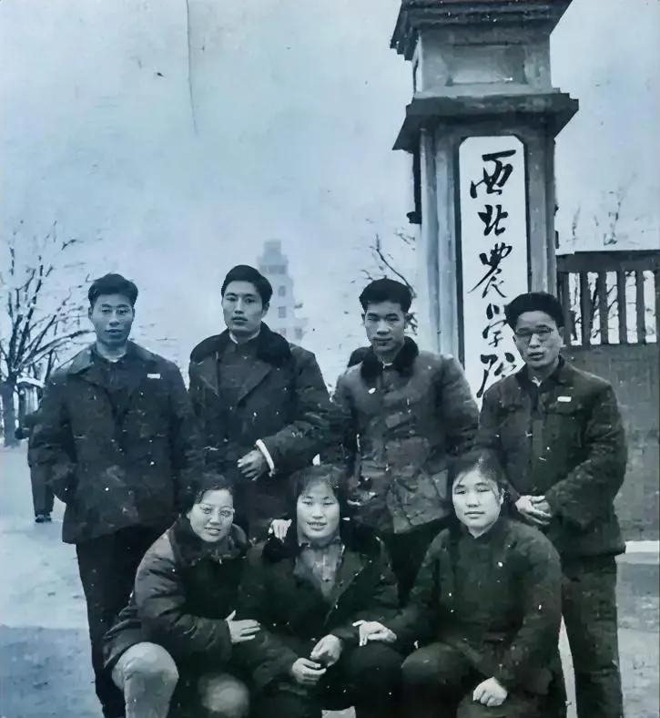 曾经的西北农学院
1937年成立的西北临时大学，在1938年分出国立西北工学院、