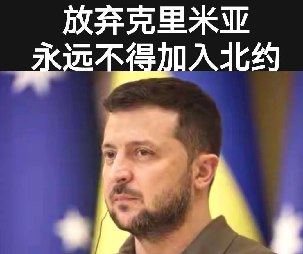美国给乌克兰定格了！
“放弃克里米亚，永远不得加入北约”，这是让泽连斯基万万没想
