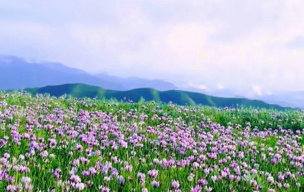 代驾小哥感叹：史上最严禁酒令效果好，生意差了！



上周六晚上，我和朋友小酌几