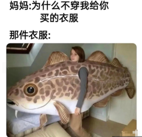 不愧是理科学生