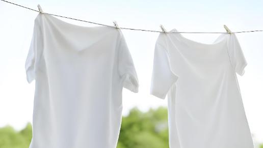 家居清洁急救神器！3 款优质顽固污渍干洗剂推荐，免水洗即擦即净