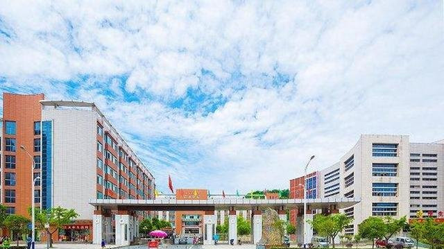 湖北医药学院药护学院2024年在河南省分专业录取分数