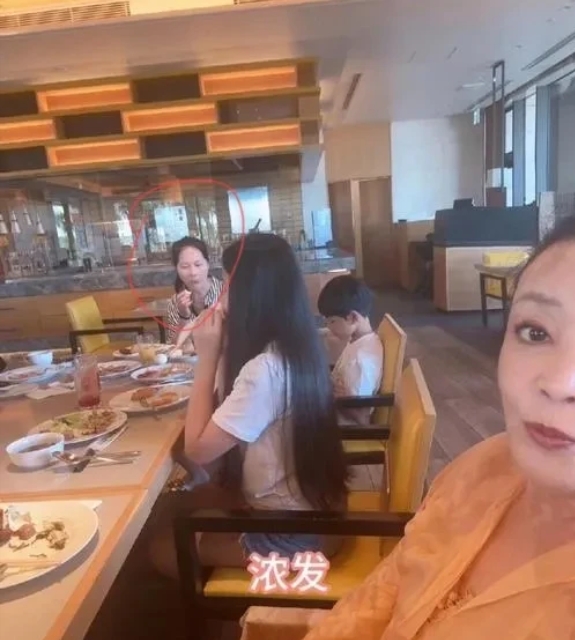 小杨阿姨的樱花视频一露面，就如同开春的暖光。消失一个来月后，这位“汪家定海神针”