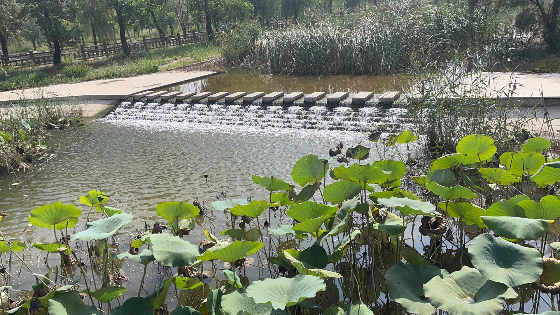 最火的句子句句惊艳看你喜欢哪一句