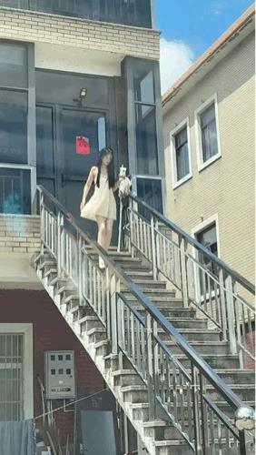下台阶儿是先迈左脚还是先迈右脚？[狗头]