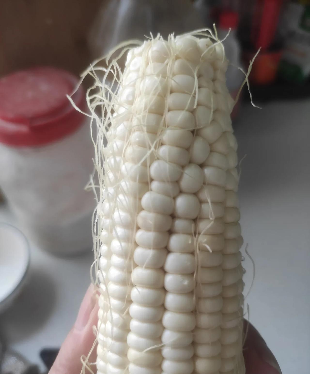 我爱吃煮糯玉米
竟发现了一个辨别是不是糯玉米的方法
真是简单又方便
最近天天去菜