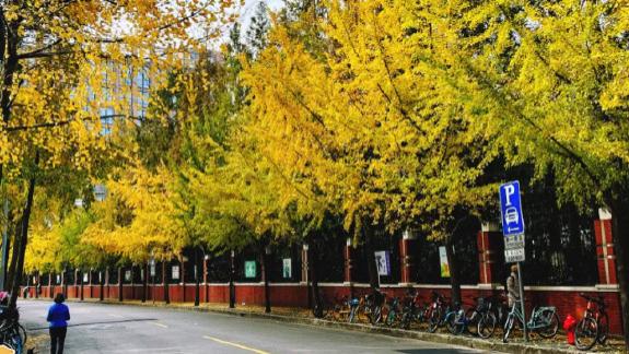 上海哪里好玩？快来解锁23个“超”级点位