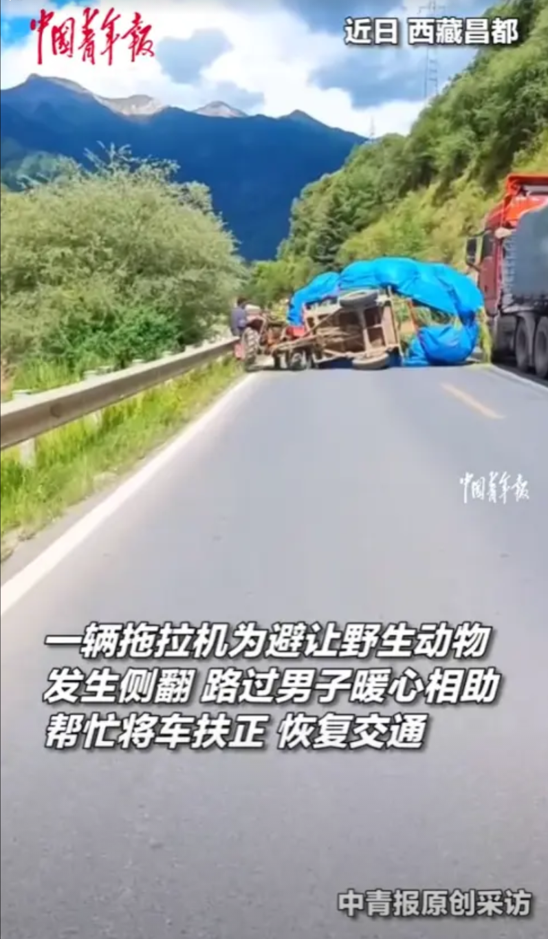 “太有格局了！”近日，西藏，男子开车外出时，发现前方一辆满载货物的拖拉机侧翻，司
