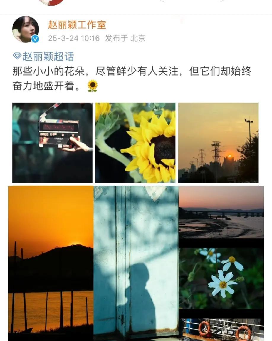 赵姐拍摄大放送，这也让我们明白了她为什么会去拍向阳花这部电影的初衷。
     