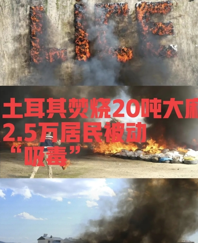 林则徐虎门销烟的含金量还在上升！
土耳其警方要处理20吨大麻，竟然直接倒上226
