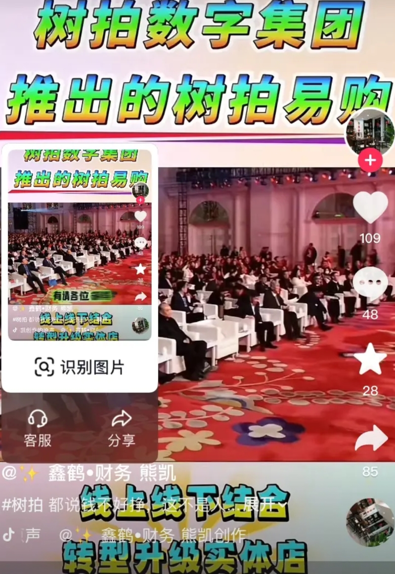 临沂树拍暴雷了，我家亲戚在里面投了几十万，早些天我轻言劝他别玩了，他们连里面人家