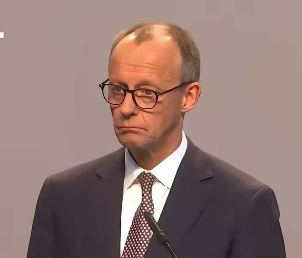 德国总理默茨的飞机还没落地，中国上千吨稀土已先抵达汉堡港，结果德国经济部立刻叫停