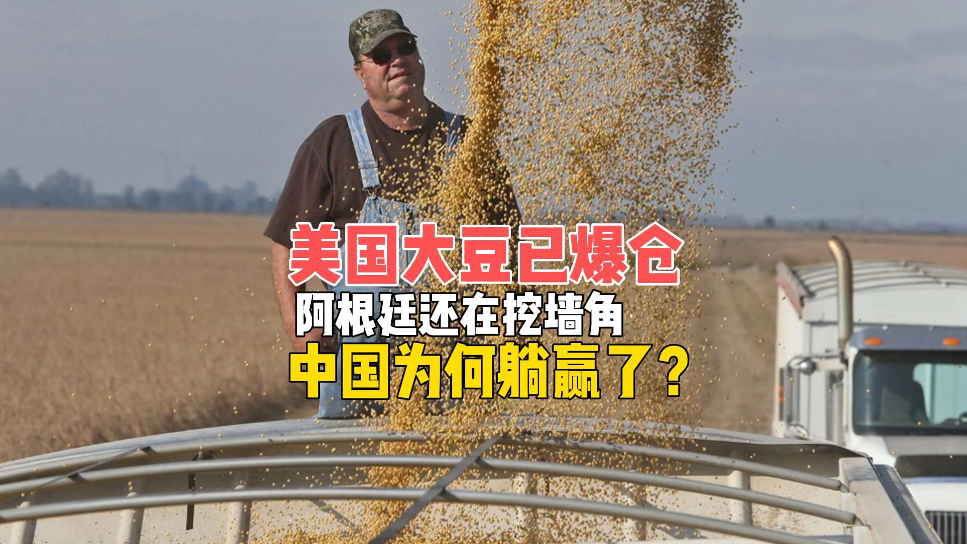 美国大豆爆仓，阿根廷还在挖墙脚，中国为何躺赢了？
