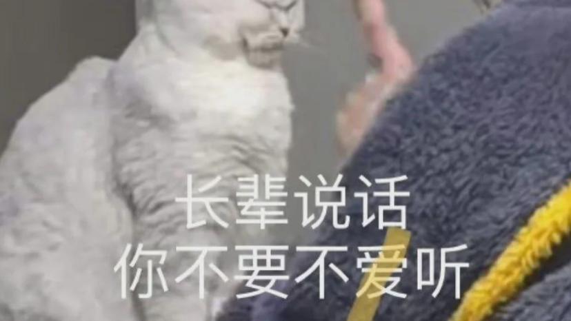 为什么回家过年，反而更累了？