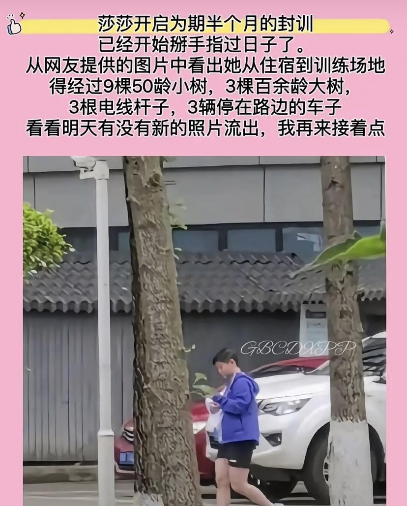 笑死了，莎莎封训，大家掰着手指头过日子了。
第一天封训结束，大家已经对莎莎从训练