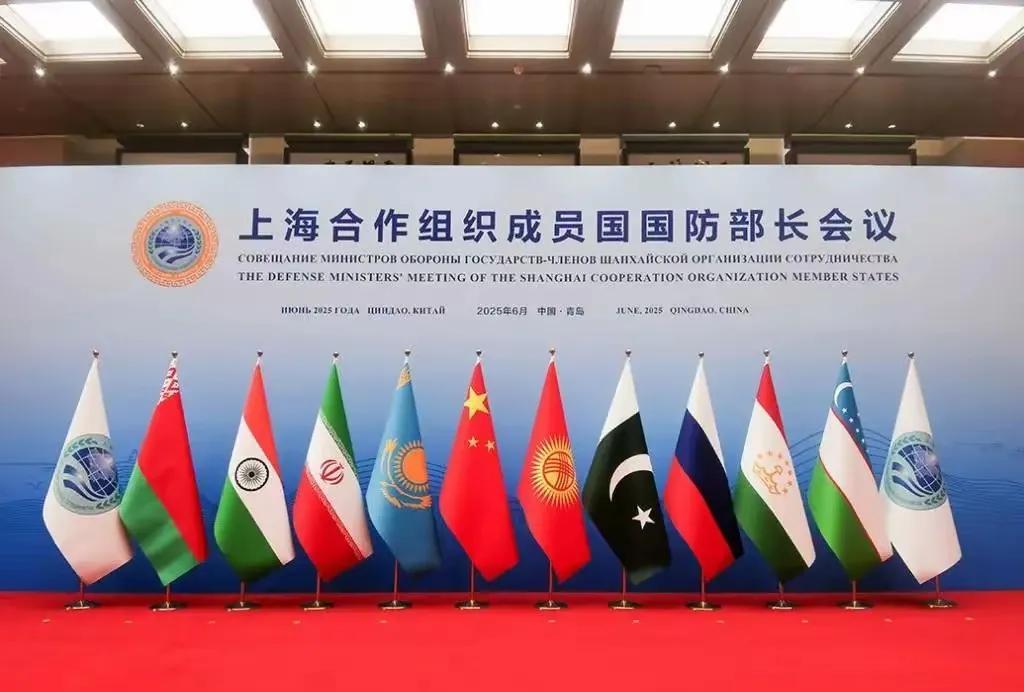 还在耍脾气！印度防长拒签联合声明，对5·7空战仍然耿耿于怀？
6月25日至6月2
