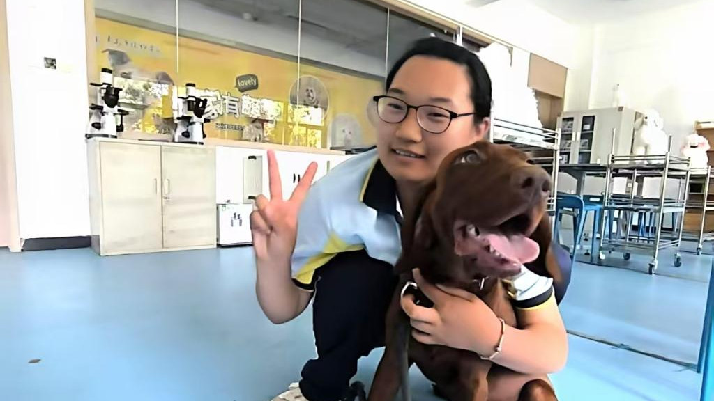 我有萌宠做“助教”——探秘青岛市技师学院宠物专业