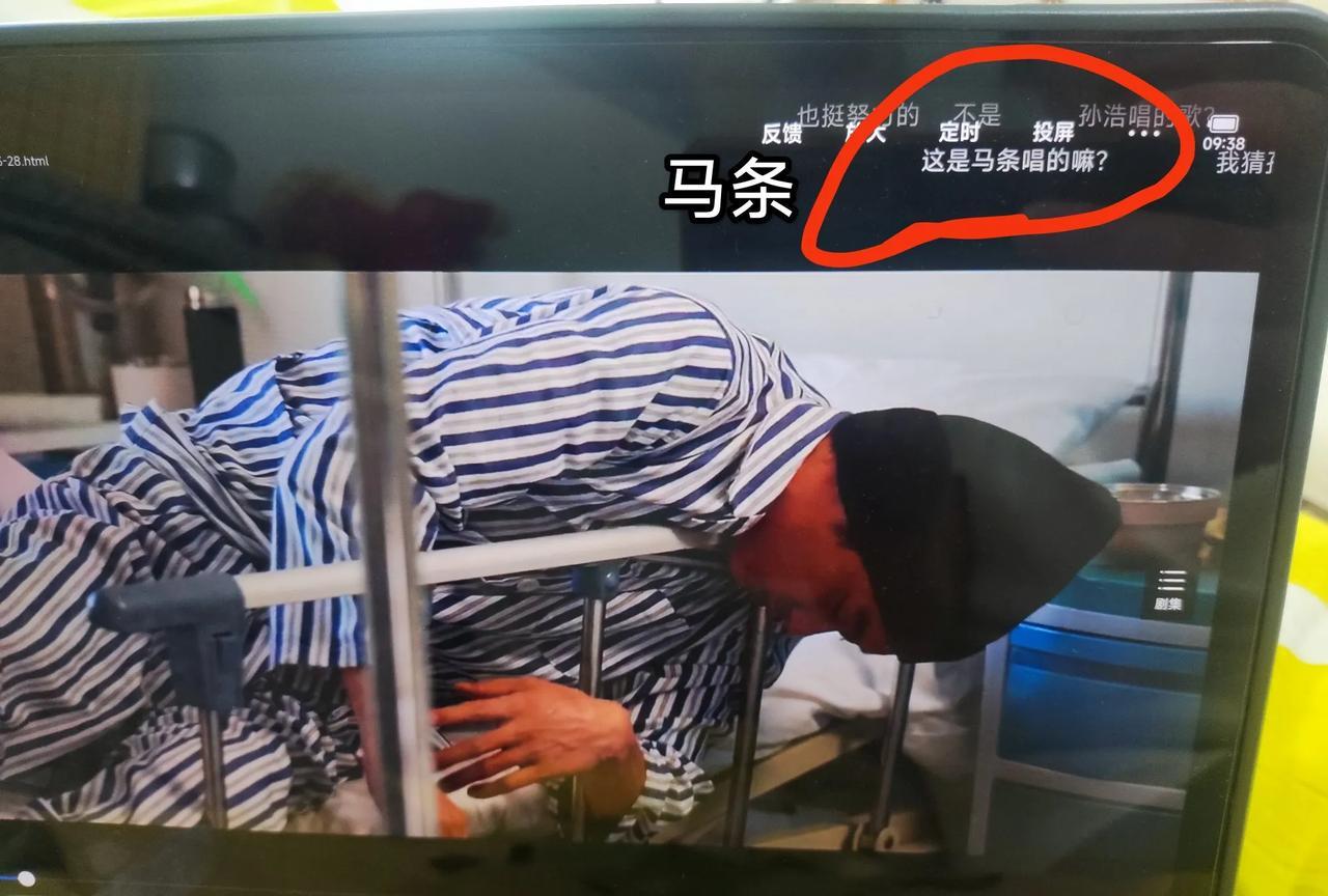 看《护宝寻踪》的都不是一般人，
看这个弹幕，马条，都认识。
证明不仅喜欢追有质量