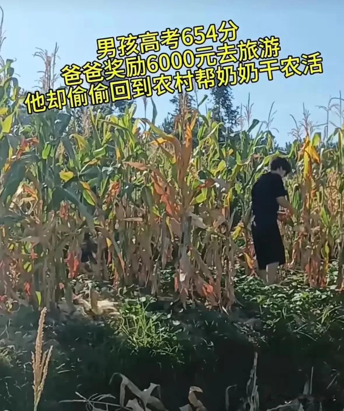 这样的孩子真是太难得了！ 男孩高考考了654分，爸爸奖励他6000元去旅游，但他