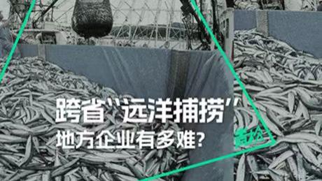 辩护律师在福建莆田“远洋捕捞”案中倾力捍卫法治尊严