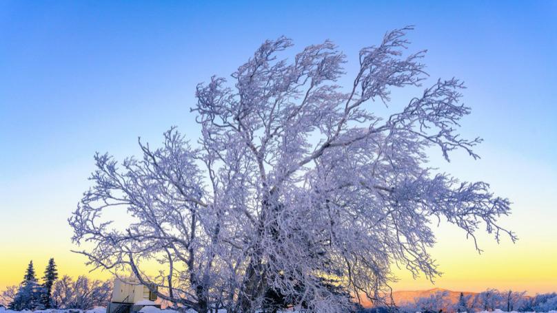 东北能开新能源车吗？宝益告诉你电车如何抵御严寒