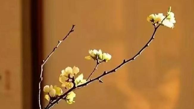 【明日黄历】2025年11月4日（农历九月十五  星期二）黄历解析