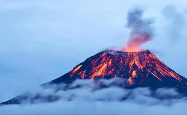 一旦日本富士山炸了，作为邻国的中国该不该收留日本难民呢？在我看来，巴勒斯坦的悲剧