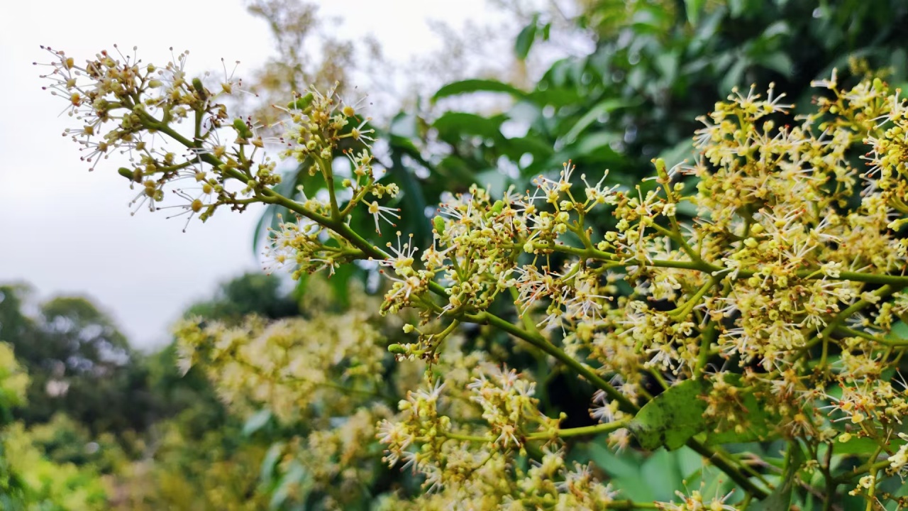 偷偷截图保存？关于2025年3月份我的思考汇总，会不会颠覆你的认知？