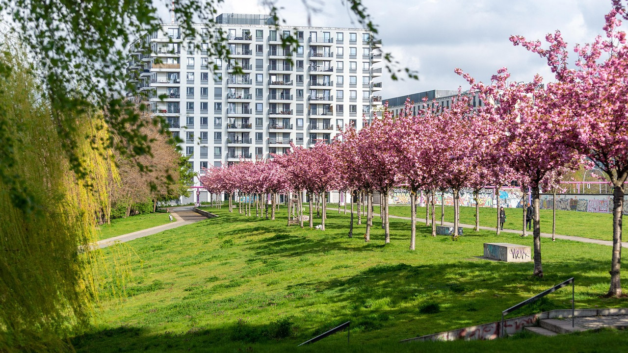高中生赴日留学为什么都推荐从语言学校开始？