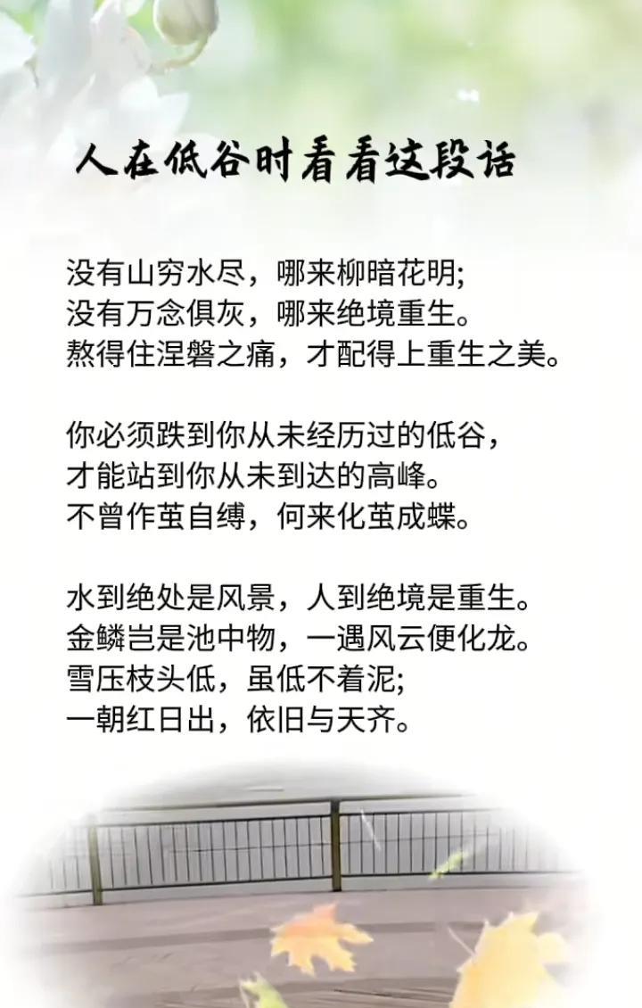 人在低谷时看看这段话
没有山穷水尽，
哪来柳暗花明;
没有万念俱灰，
哪来绝境重