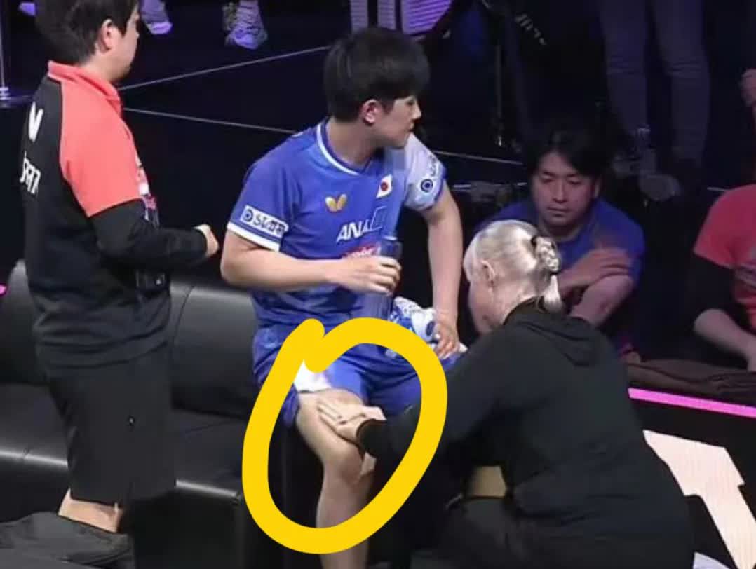 赢了王楚钦，仿佛赢了全世界！
不懂就问，
按摩的大腿，张本智和怎么说，自己伤