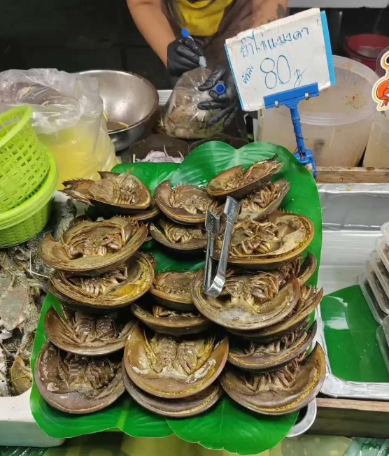 这是什么海鲜？你们吃过吗？