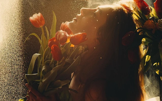 重生在公婆离婚宴！我替婆婆挨了巴掌，反手甩丈夫两耳光带她逃家，他家炸了