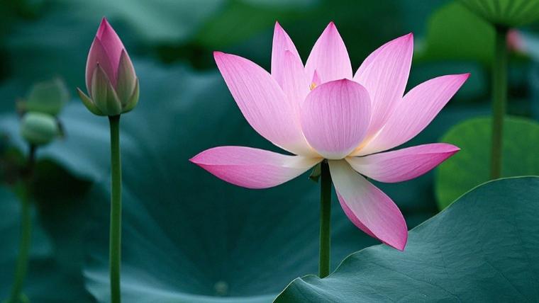 三分留白见真章：中国式处世智慧中的生命余韵