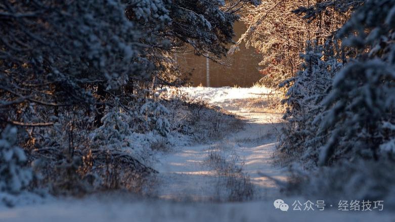 大雪节气到，少吃鸡肉多吃它！真正的温养佳品，不燥不腻，气血足了，脾胃好了，悄悄变美了