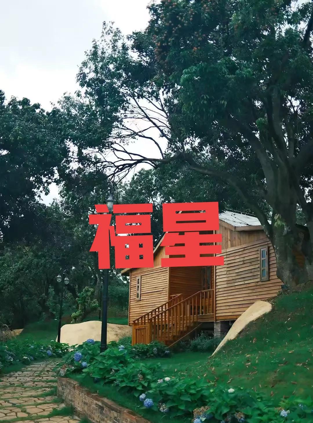 年支查"福星”
一、福星查法口诀（以年干或日干为主查地支）：
示例：
若年干为甲