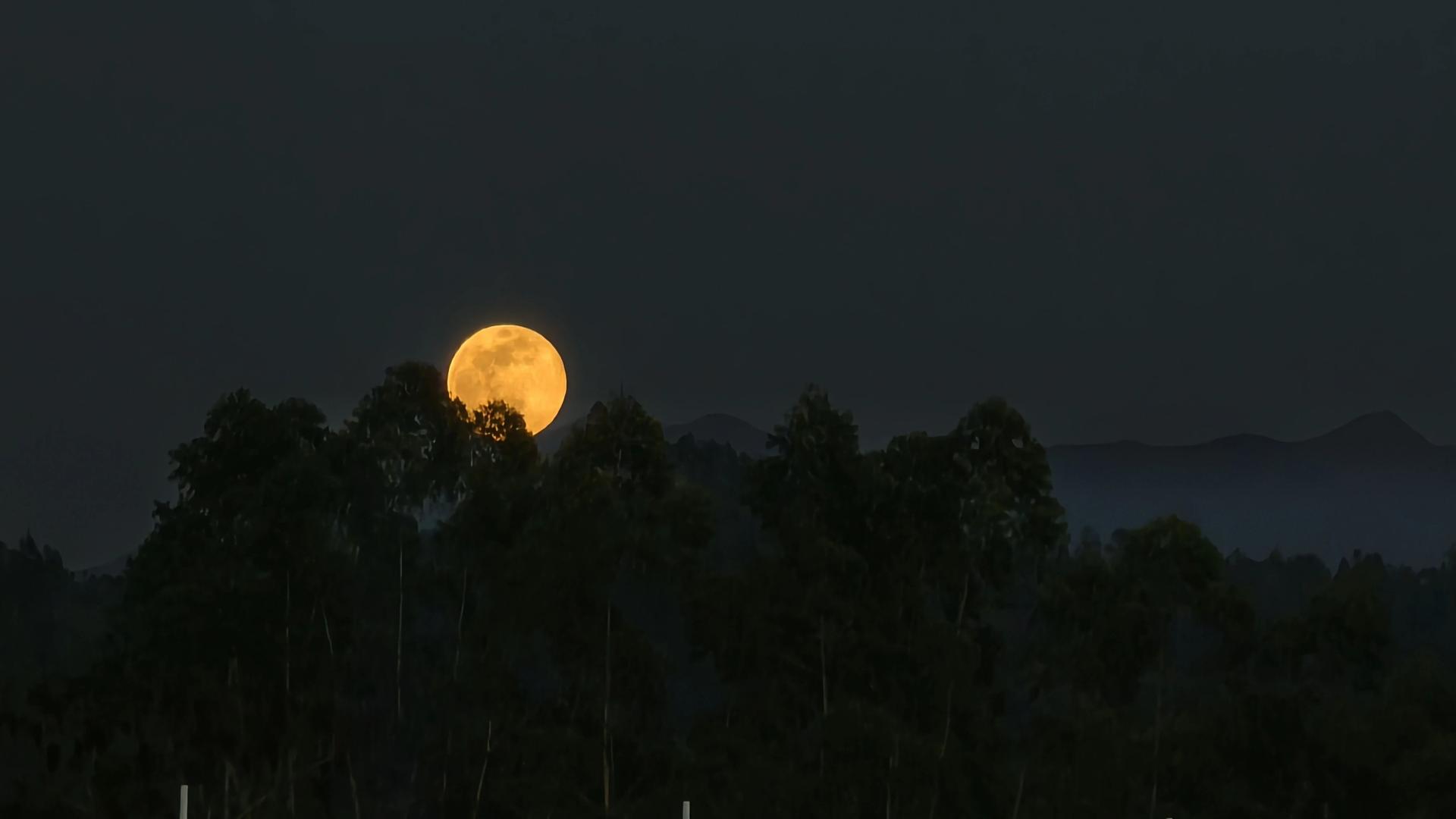 2026年首个“超级月亮”被刷屏！惊艳广东夜空，配晚霞美到窒息