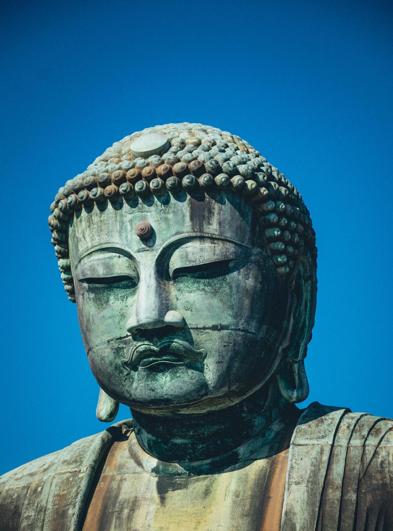 人的成长就是寻找自我的过程，那些欠缺的想去补足，那些不接受的想去对抗，于是人生成