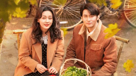 短剧《家里家外》完整版79集在线观看短剧家里家外：王道铁与孙艺燃的烟火人生