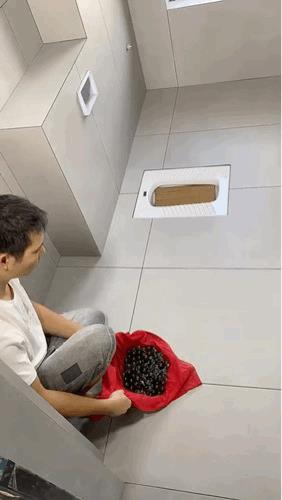 弹珠是怎么知道这里有个洞洞的？[狗头]