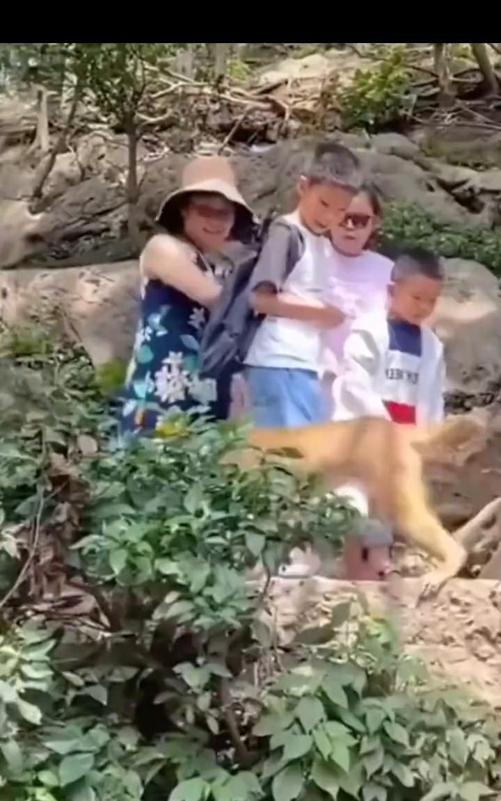俺老孙去也。不能多。