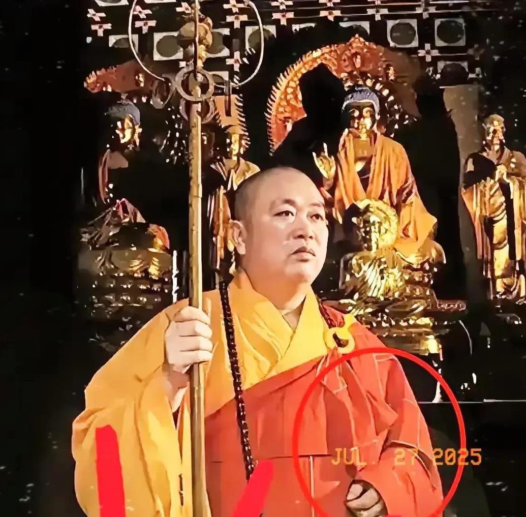 你被抓我毫不意外，我意外的是为什么这么多年了才被抓。
您的意外使我十分意外。