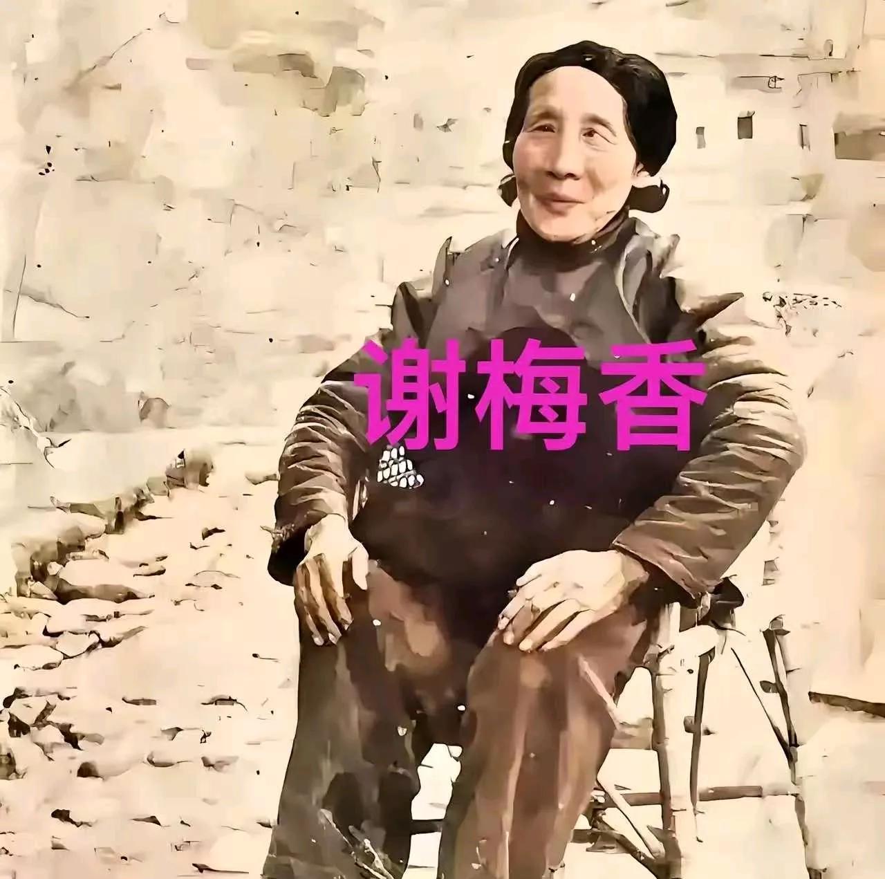 1929 年的井冈山，枫叶红得像血。谢梅香在乱葬岗的荆棘里扒了八天，手指被刺得烂