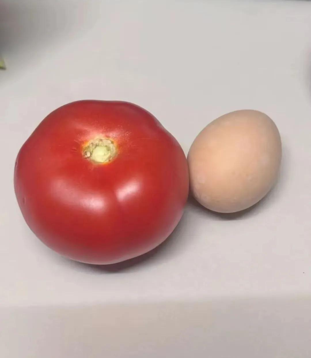 除了西红柿炒鸡蛋，还能做成什么菜？